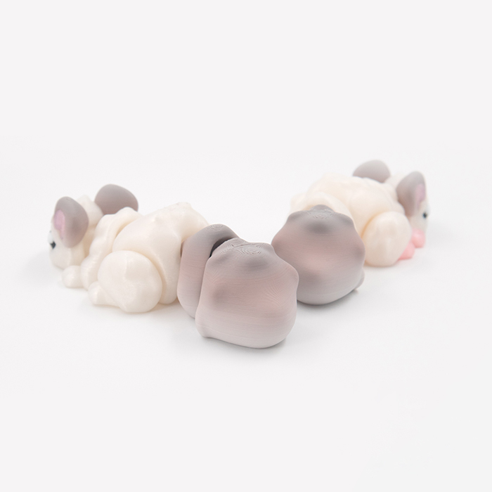 Chinchilla Flexi + Keychain